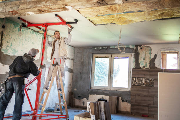 Best Insulation Maintenance and Repair in Orion, IL