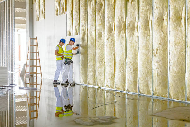 Best Insulation Materials and Products in Orion, IL